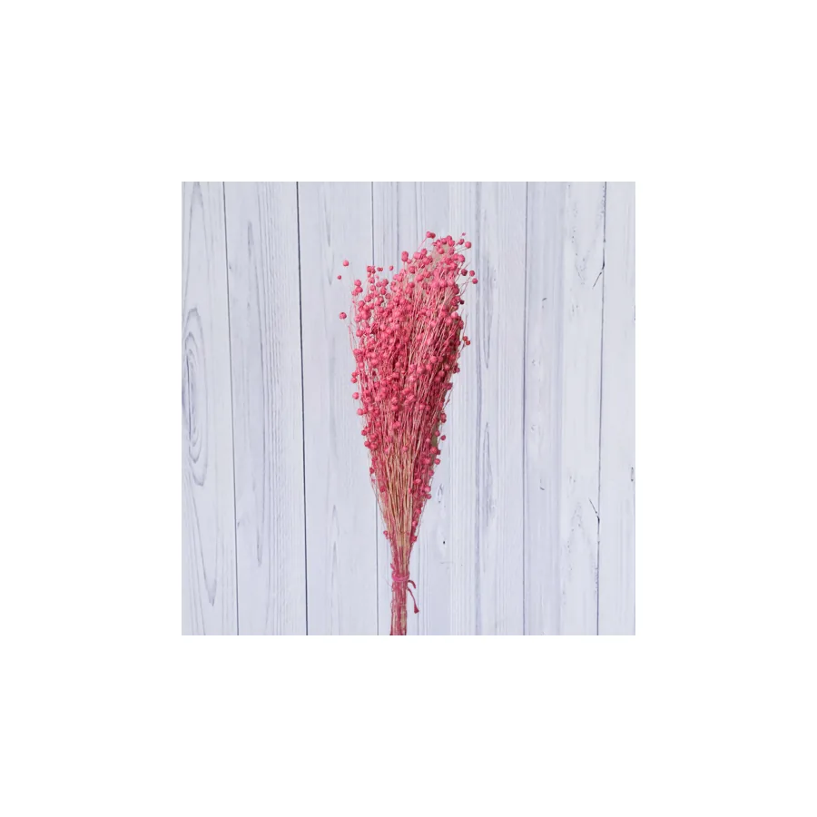 Linium – per bunch